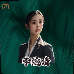 李婉清