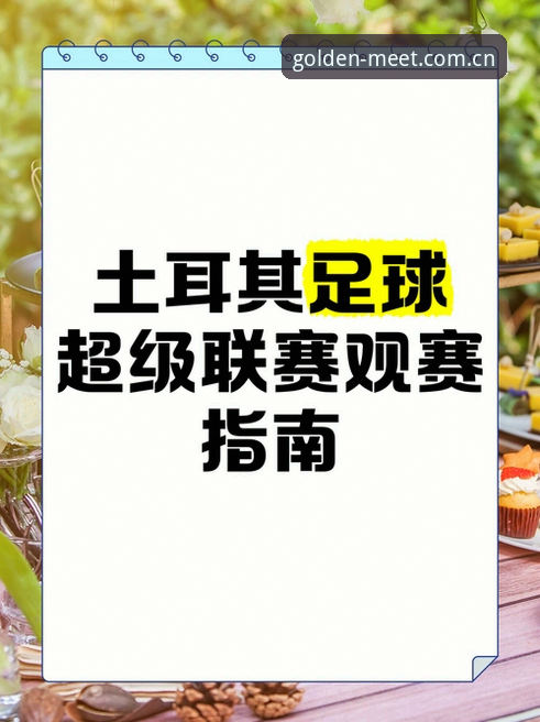 世界杯观赛签证危机详解：约旦土耳其球迷的困境与金年会体育观赛体验